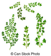 180x195 Creeper Vector Clipart Illustrations 1212 Clip Art Clipart