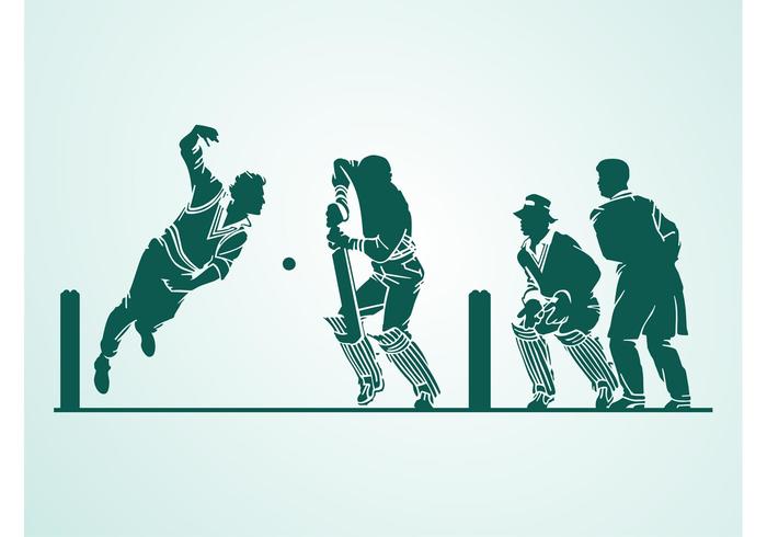 700x490 Cricket Vector