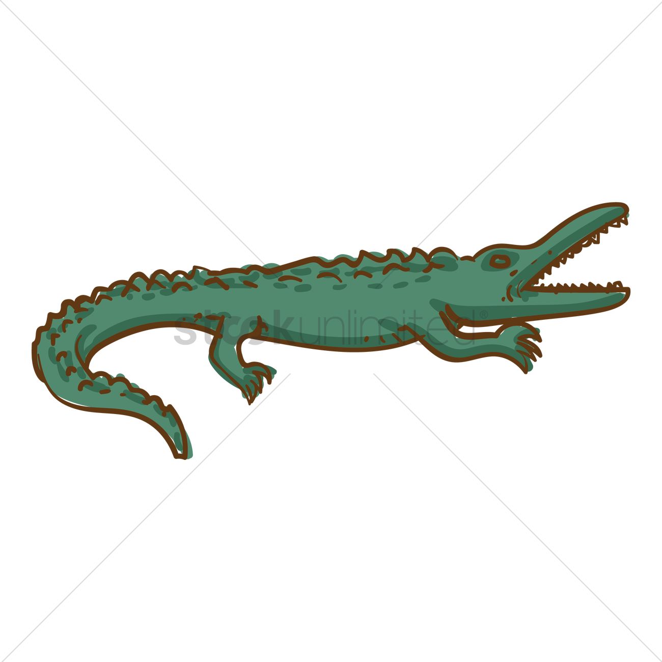 1300x1300 Crocodile Vector Image