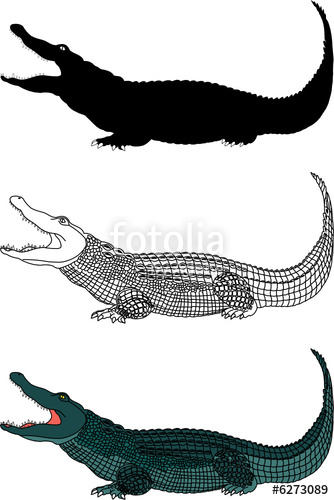 334x500 Crocodile Vector File Stock Image And Royalty Free Vector Files