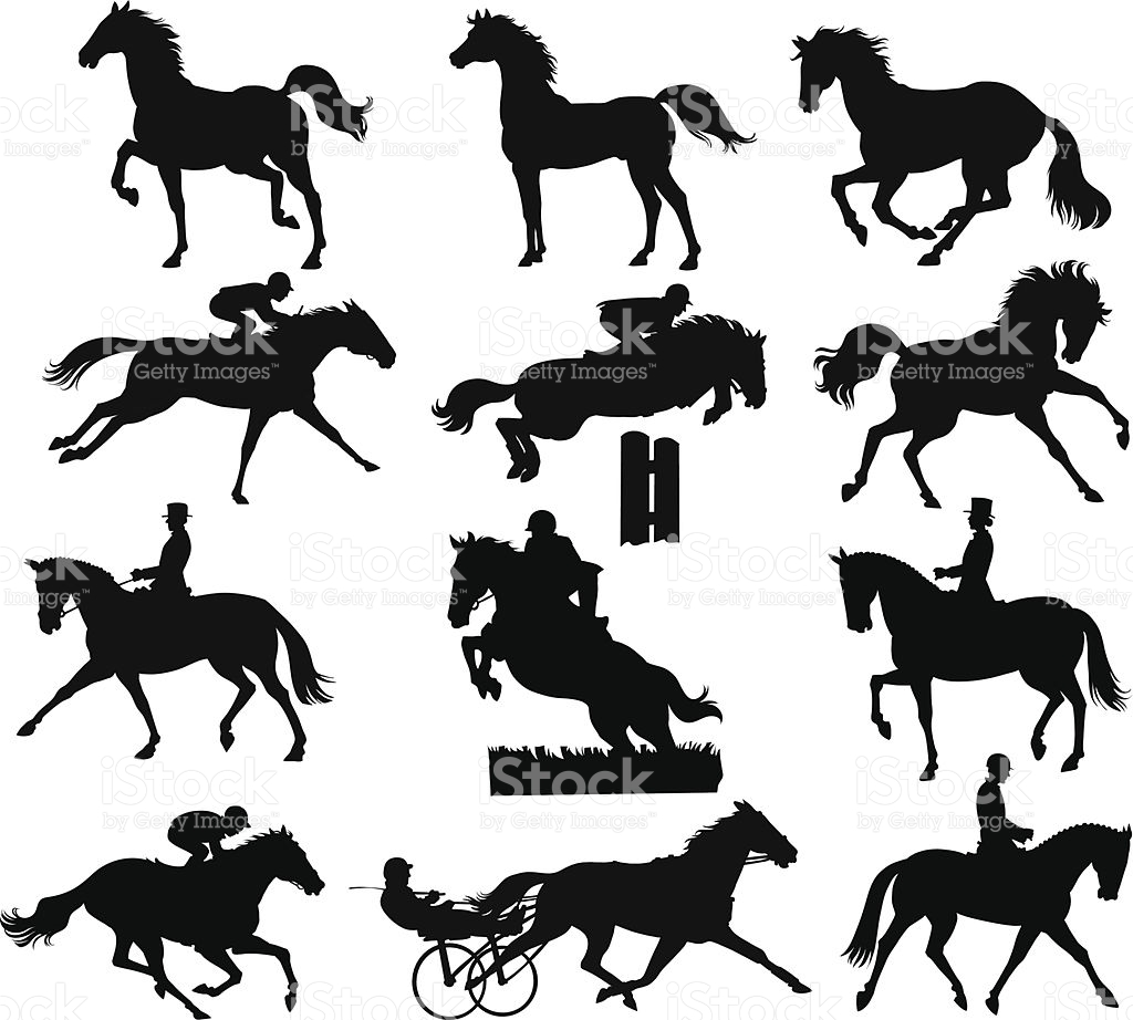 1024x922 Horse Clipart Cross Country ~ Frames ~ Illustrations ~ Hd Images