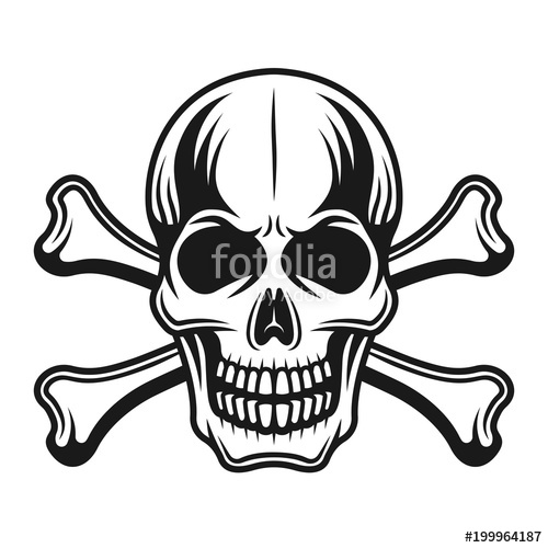 500x500 Skull With Crossbones Vector Detailed Illustration Stock Image