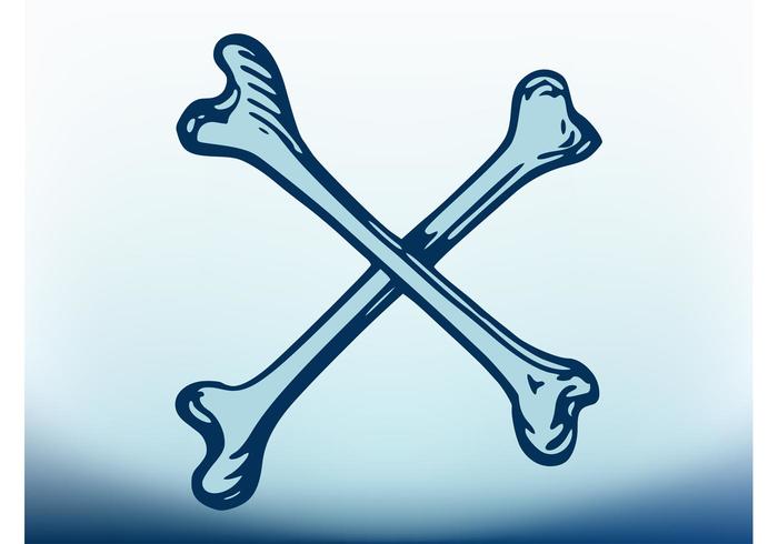 700x490 Crossbones Vector