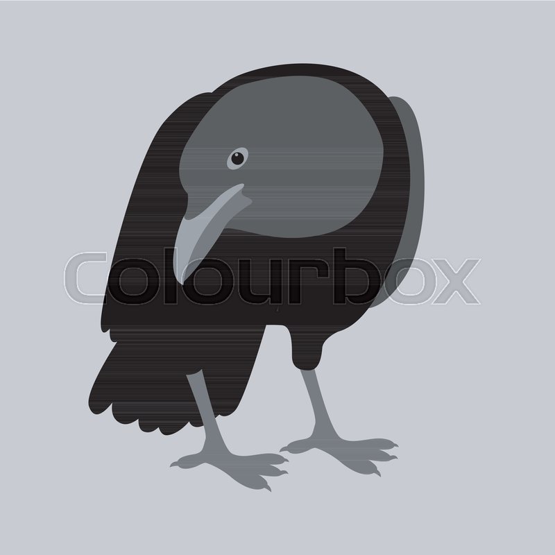 800x800 Crow Vector Illustration Style Flat Side Front Stock Vector