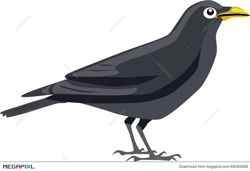 800x547 Cute Black Crow Vector Illustration 49399488