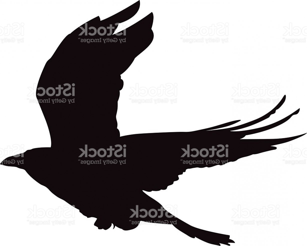 1228x985 Flying Crow Vector Shape Gm Lazttweet