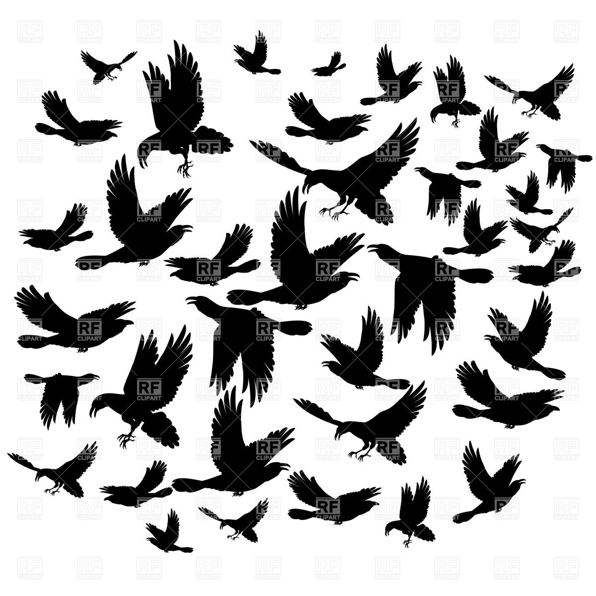 1200x1200 Silhouettes Of Birds