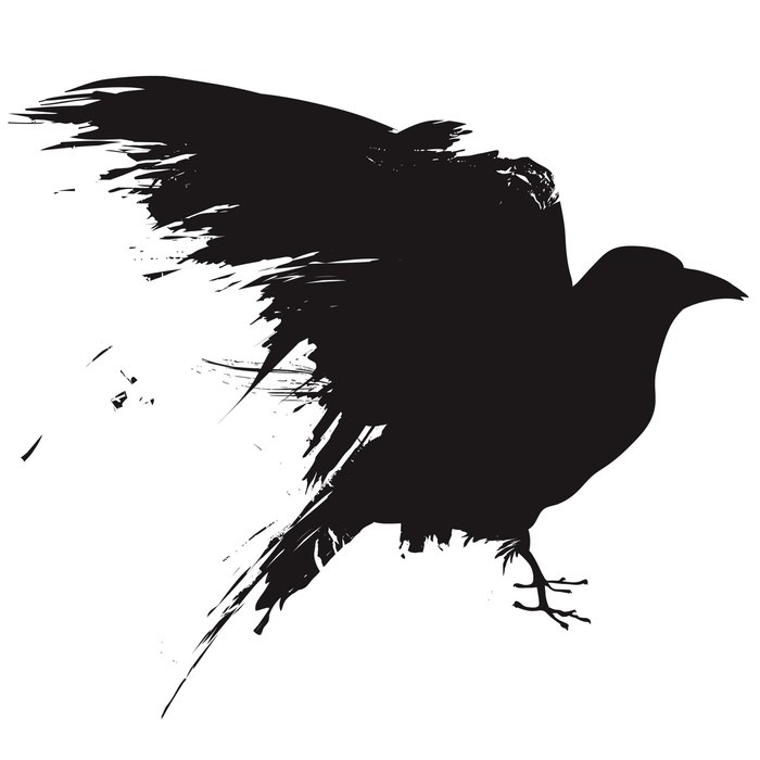 700x700 Vector Raven Or Crow In Grunge Style Wall Decal We