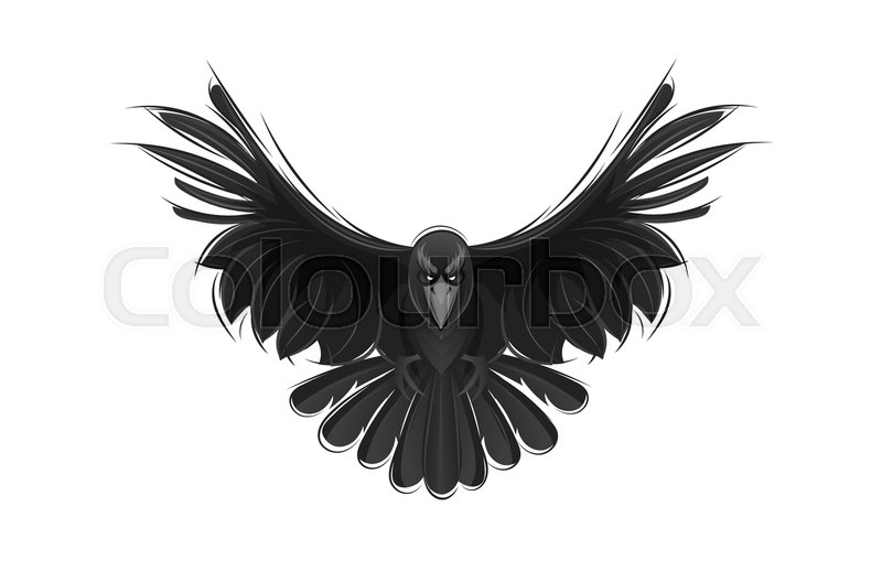 800x518 Black Raven Isolated On White Background. Hand Drawn Crow. Stock