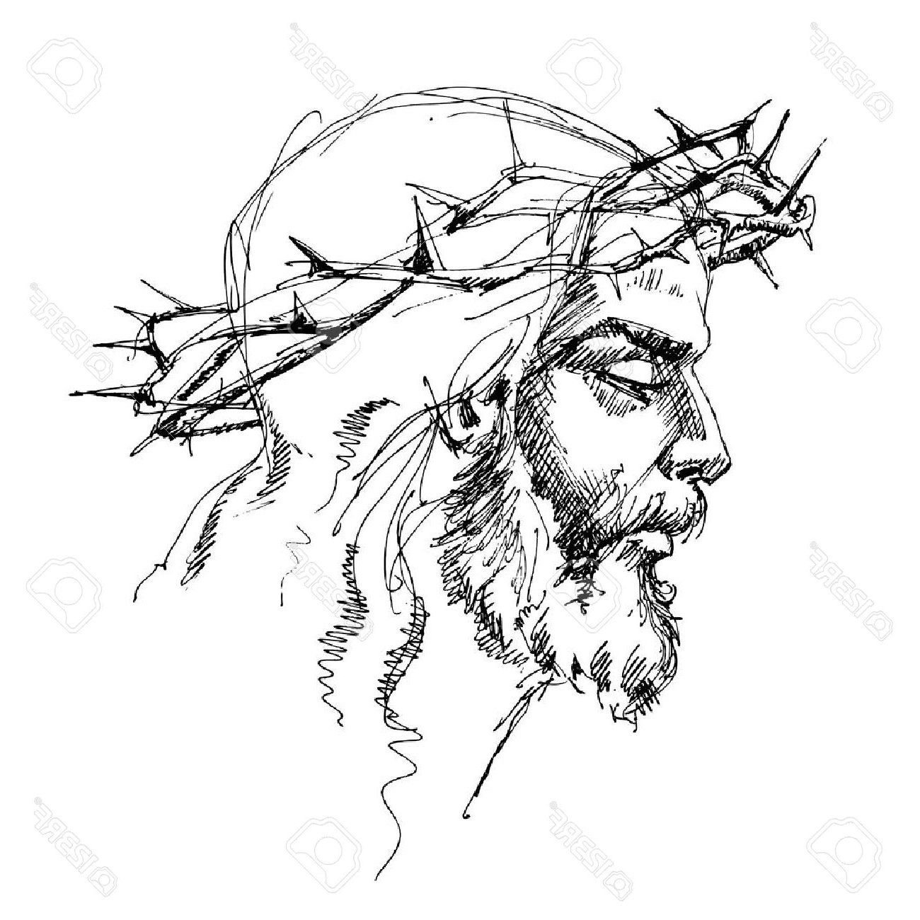 Crown Of Thorns Vector at GetDrawings | Free download