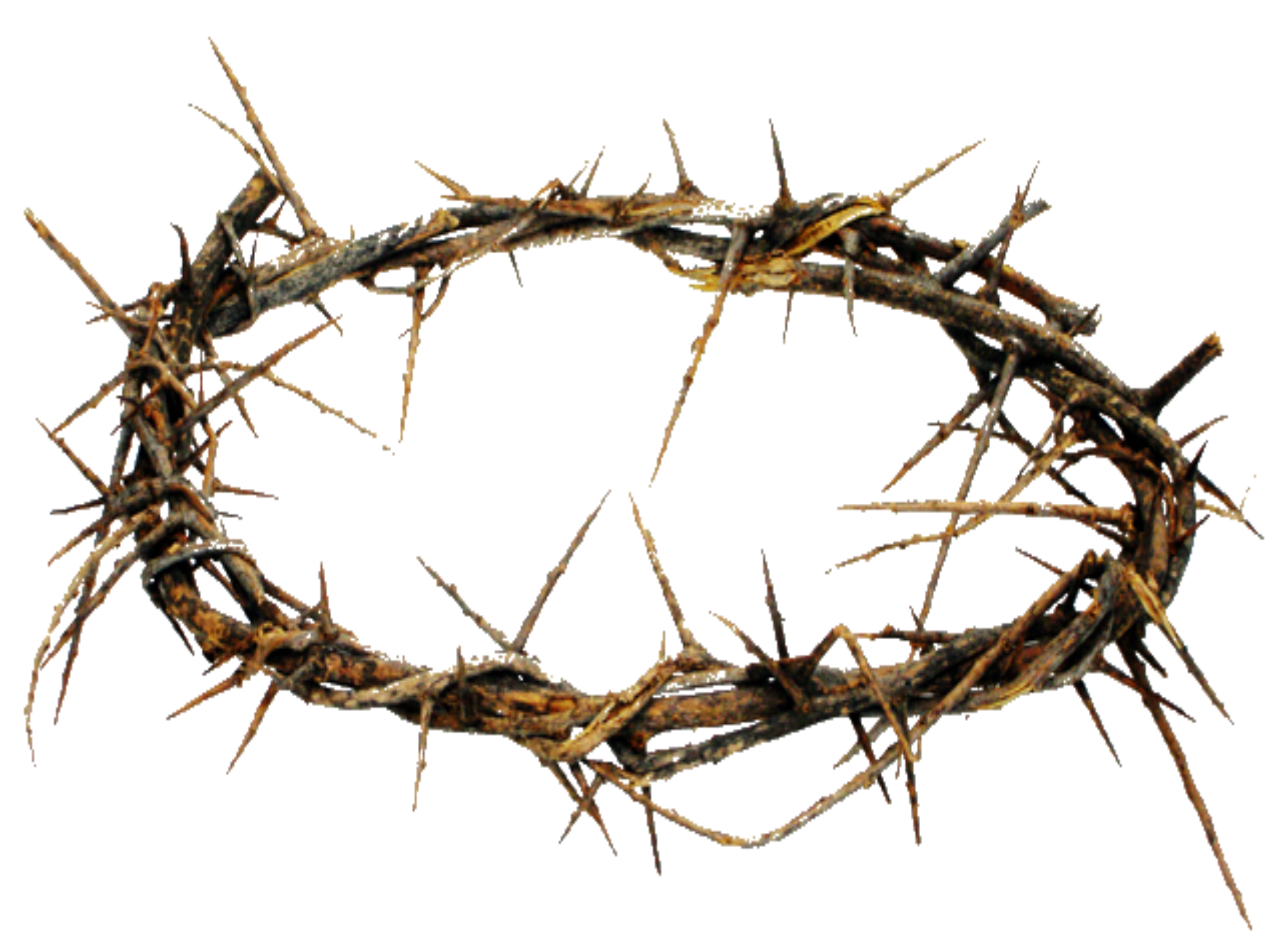 2942x2171 Svg Free Stock Crown Of Thorns