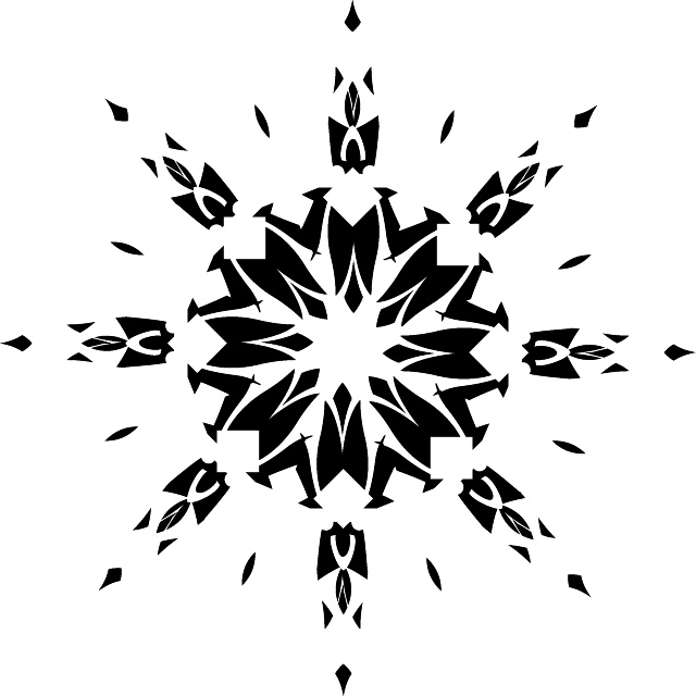 640x640 Snowflake Crystal Vector Image