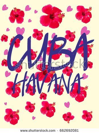 348x470 Cuba Havana Flower Graphic Design Vector Art