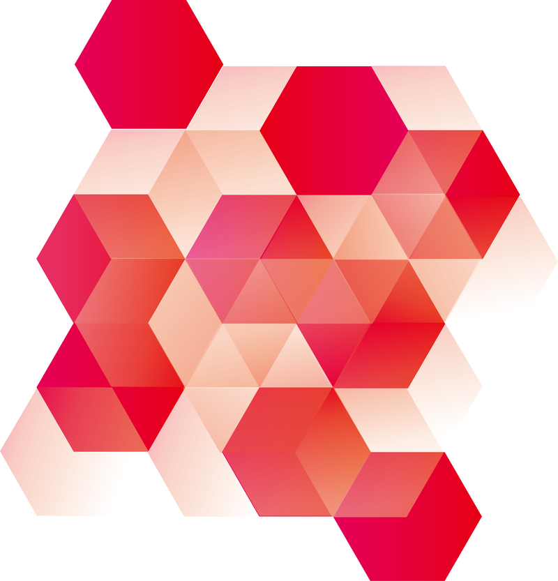 800x833 Pomegranate Cube Vector