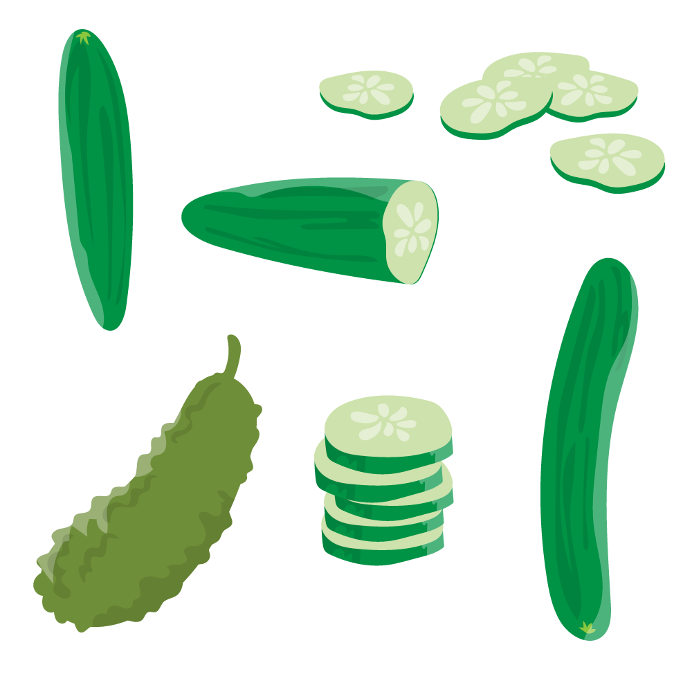 1000x1000 Fresh Cucumber Vector