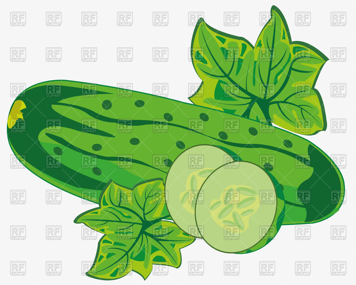 1200x960 Ripe Cucumber Vector Image Vector Artwork Of Food And Beverages