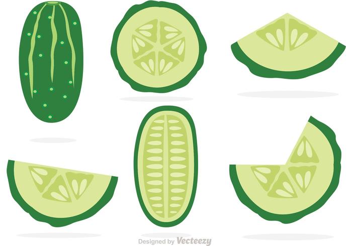 700x490 Slices Of Cucumber Vectors