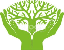 253x200 Cupped Hands With Tree Stock Vectors