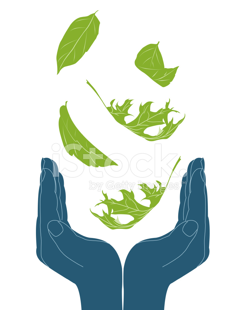 791x1024 Cupped Hands With Falling Leaves Stock Vector