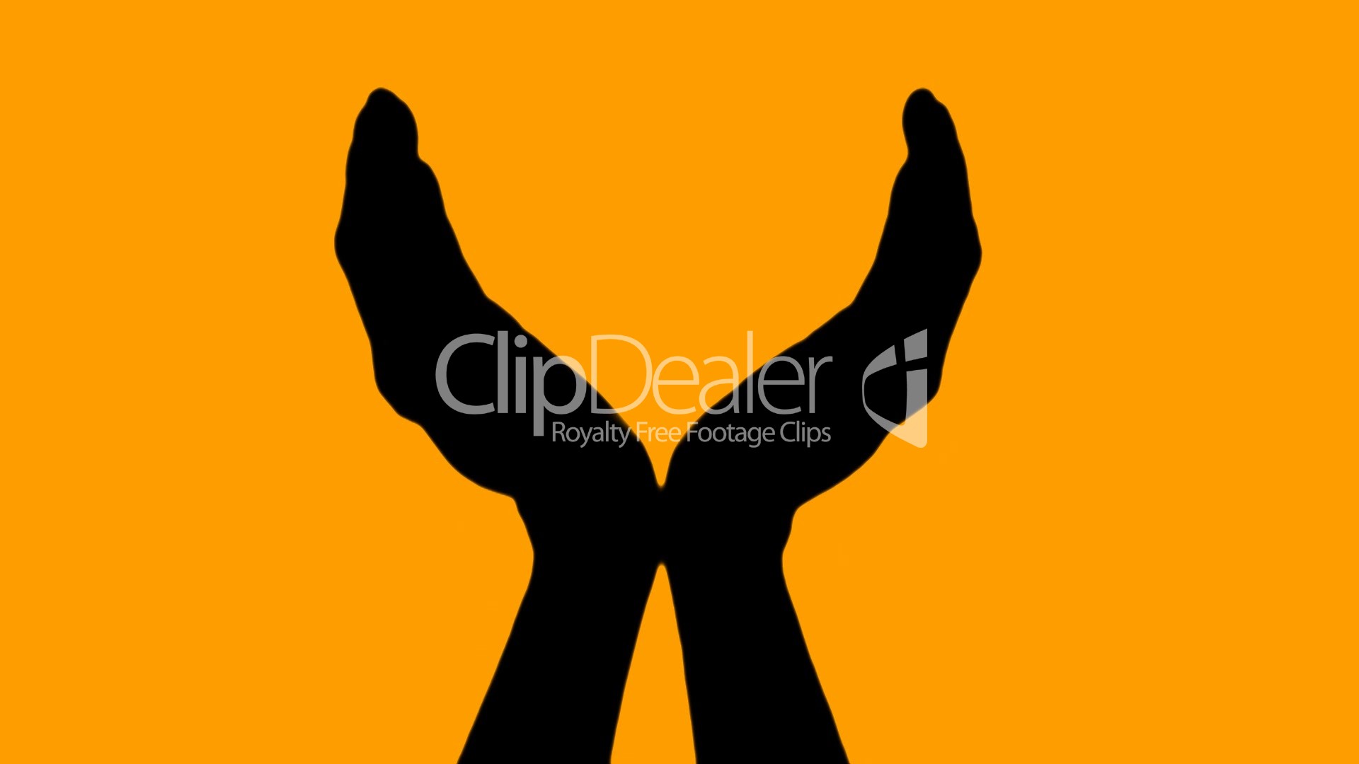 1920x1080 Cupped Hands Royalty Free Video And Stock Footage