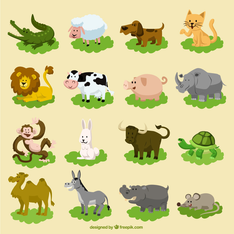 800x800 Cute Animals Vector Set. On Behance