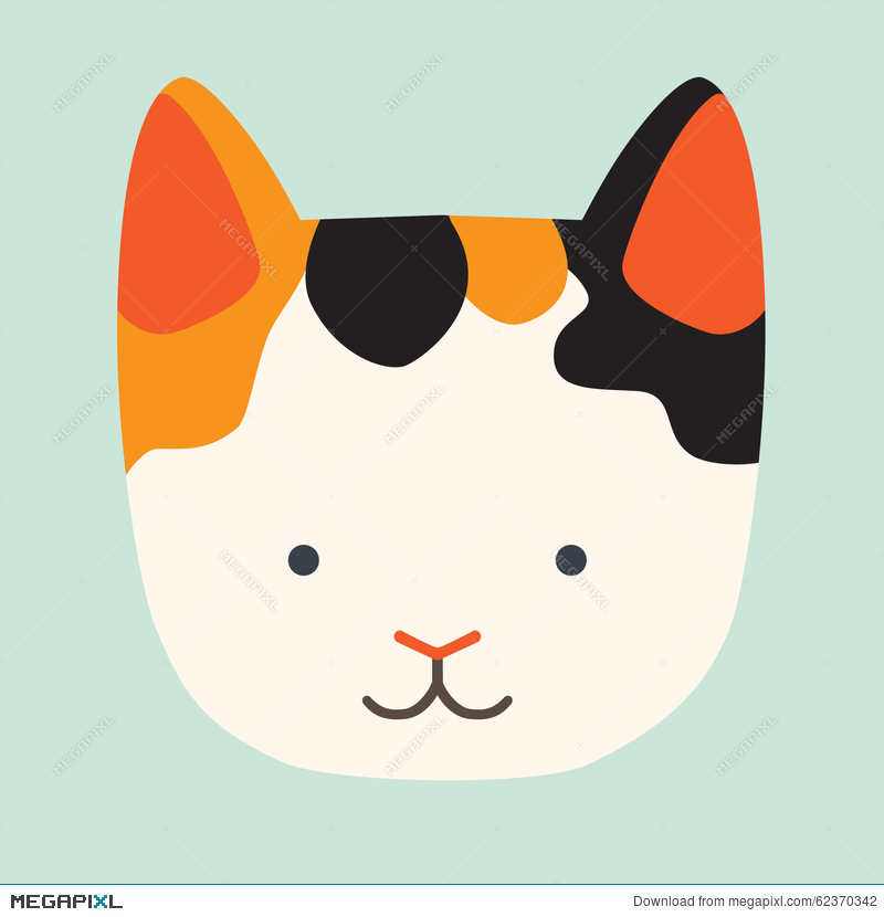 800x830 Cute Cat Vector Icon Illustration 62370342