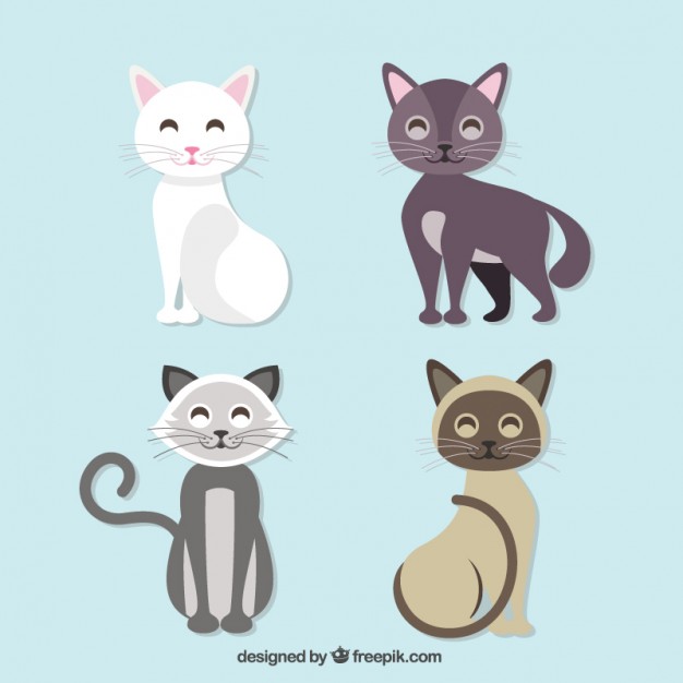 626x626 Cute Cat Collection Vector Free Download