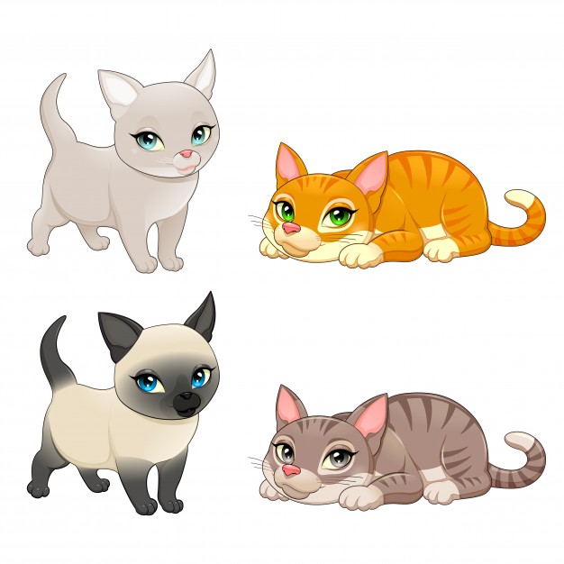 626x626 Cat Vectors, Photos And Psd Files Free Download
