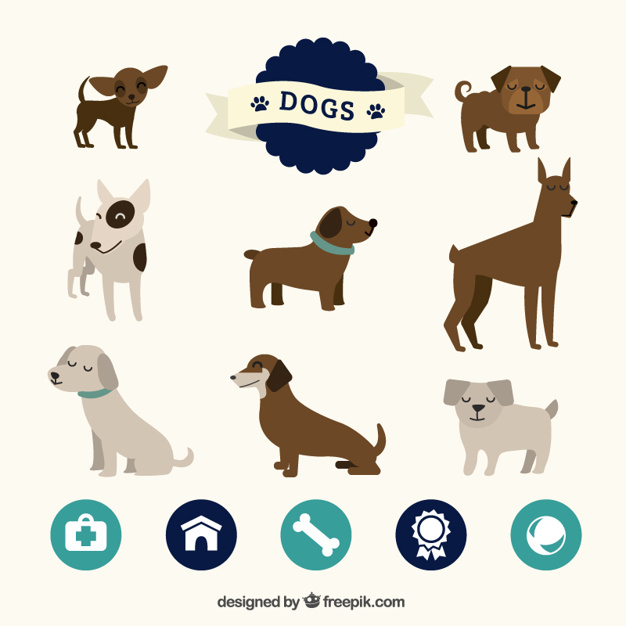 626x626 Cute Collection Of Dogs Vector Free Download