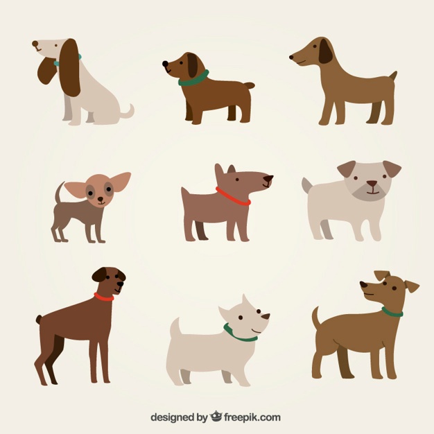 626x626 Dog Vectors, Photos And Psd Files Free Download