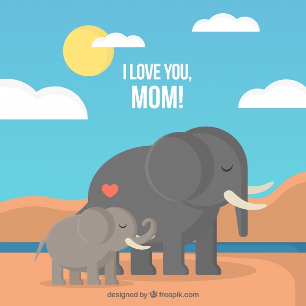 626x626 Elephant Vectors, Photos And Psd Files Free Download