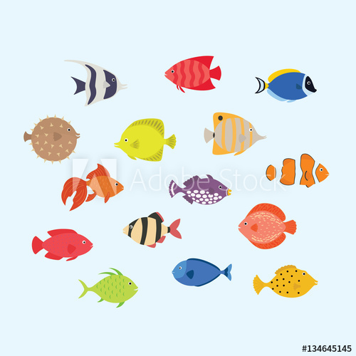 500x500 Cute Fish Vector Illustration Icons Set. Tropical Fish, Sea Fish