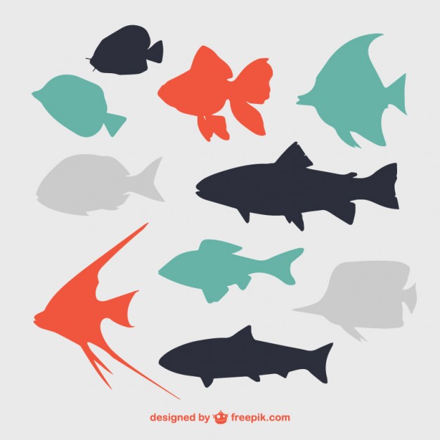 626x626 Flat Fish Silhouettes Vector Free Download