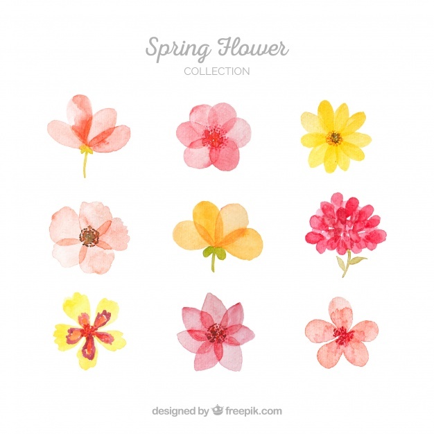 626x626 Flower Vectors, Photos And Psd Files Free Download