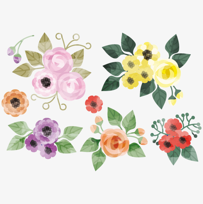 650x651 Lovely Watercolor Flowers Vector, Watercolor Vector, Vector Cute
