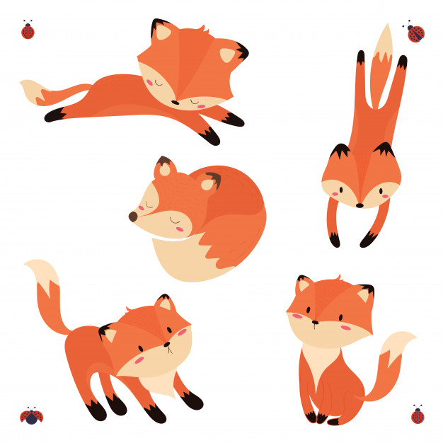 Cute Fox Vector at GetDrawings | Free download