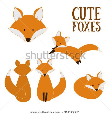 450x470 Set Of Cute Foxes. Vector Cartoon Fox Isolated On White. Sitting