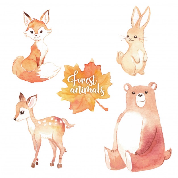 626x626 Cute Fox Vectors, Photos And Psd Files Free Download
