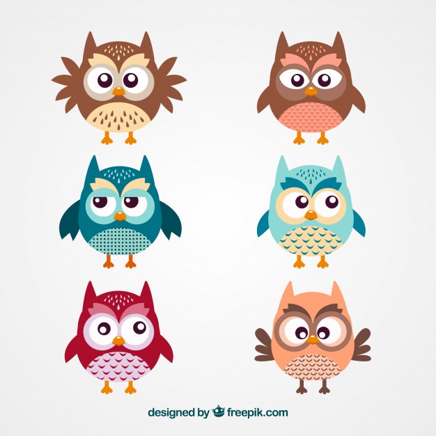 626x626 Owl Vectors, Photos And Psd Files Free Download