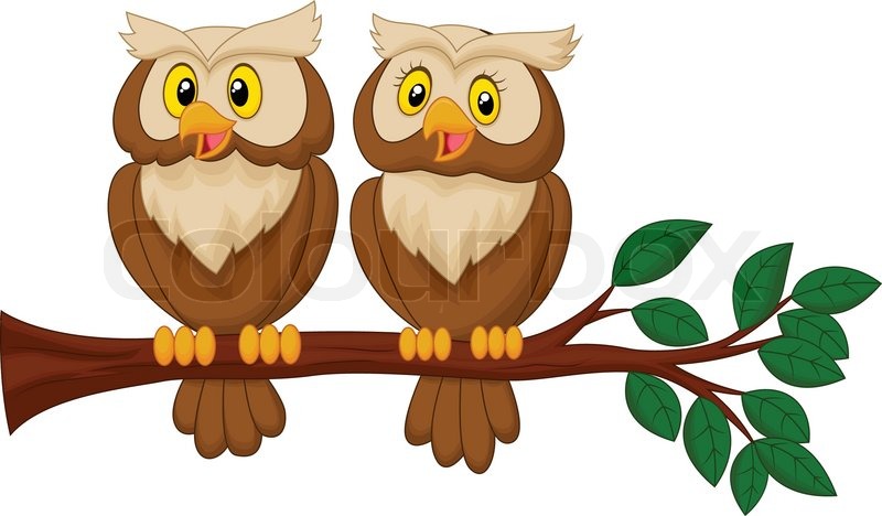 800x468 Vector Illustration Of Cute Owl Couple Cartoon Stock Vector
