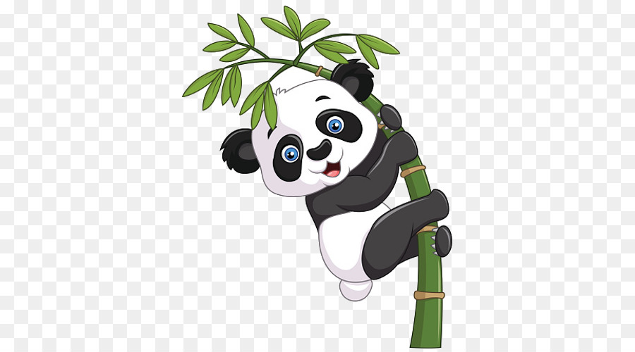 900x500 Giant Panda Vector Graphics Bamboo Illustration Clip Art