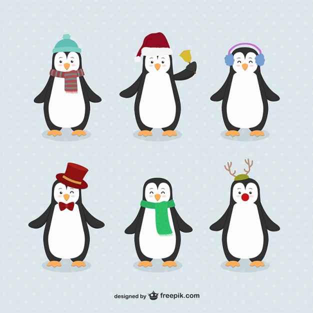 626x626 Penguin Vectors, Photos And Psd Files Free Download