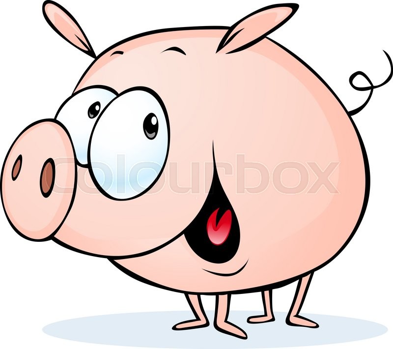 800x710 Funny Pig Cartoon