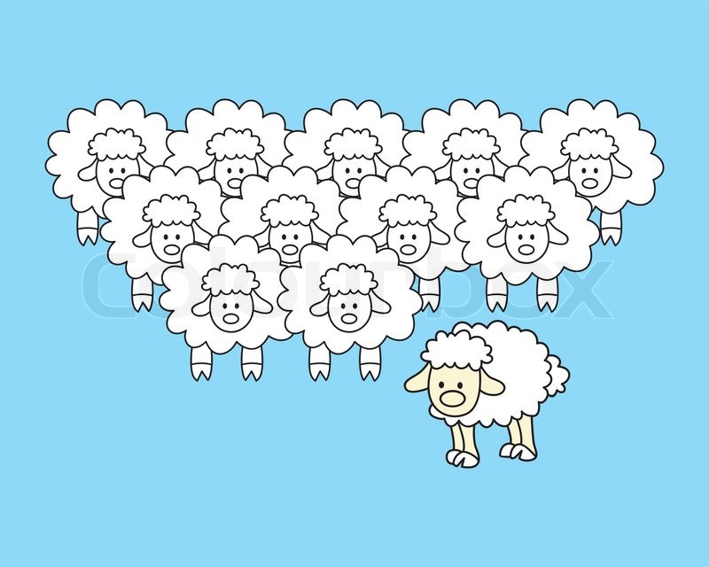 800x640 Cute Sheep Vector Illustration Stock Vector Colourbox