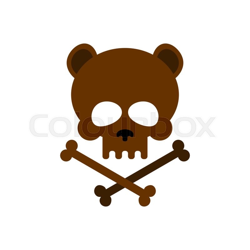 800x800 Cute Bear Skull With Bones. Honey Bear Good Skeletons Head, Kind