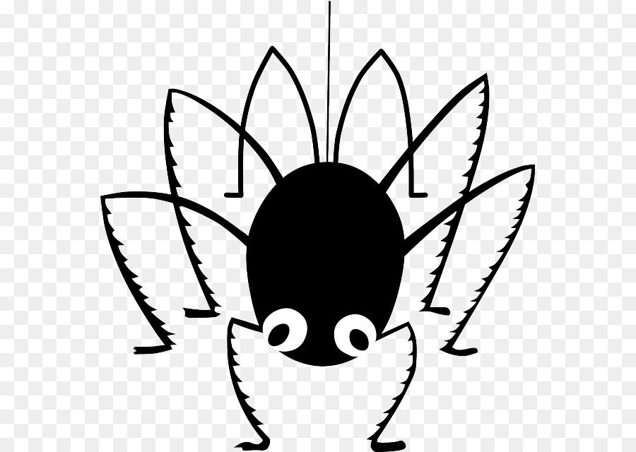 900x640 Drawn Spider Cute