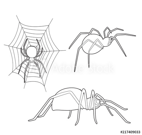 500x475 Insect Set Cute Spider Cartoon Vector Coloring Book