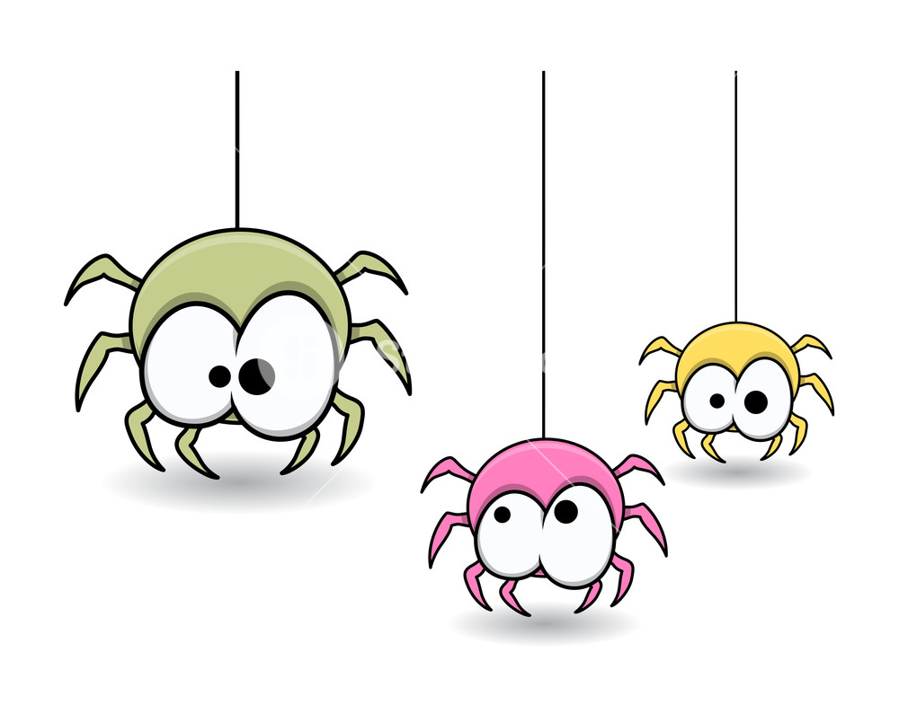 1000x805 Cute Colorful Web Spiders