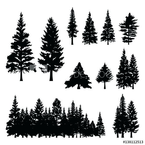 Cypress Tree Vector at GetDrawings | Free download