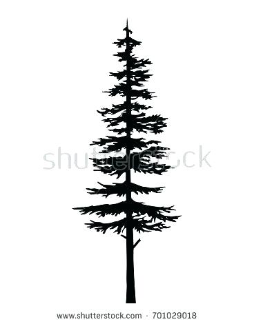 368x470 Cypress Tree Silhouette Tattoo Tribal Template Isolated Stock